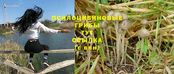 мяу мяу кристалл Елизово