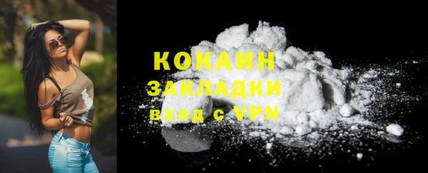 сатива Елабуга