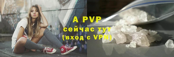 сатива Елабуга