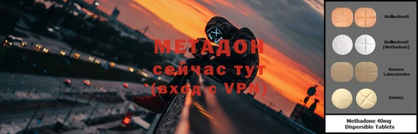 сатива Елабуга