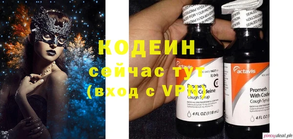 сатива Елабуга