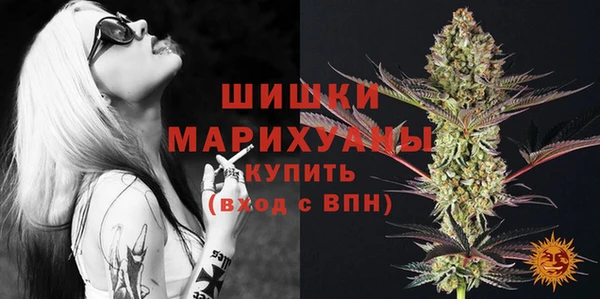 сатива Елабуга