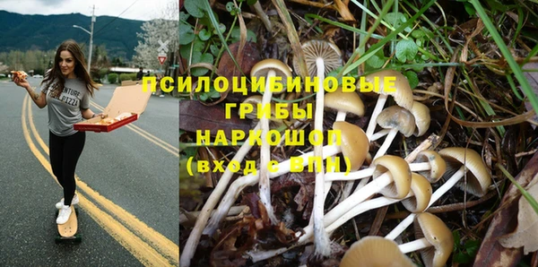 мяу мяу кристалл Елизово