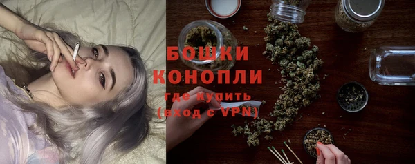 сатива Елабуга